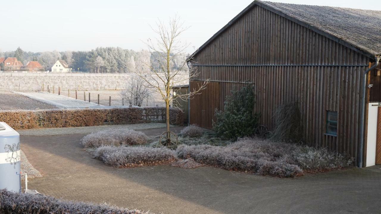 Ferienwohnung Wiesenblick Nahe Region Celle Und Hannover Buchholz Aller Dış mekan fotoğraf